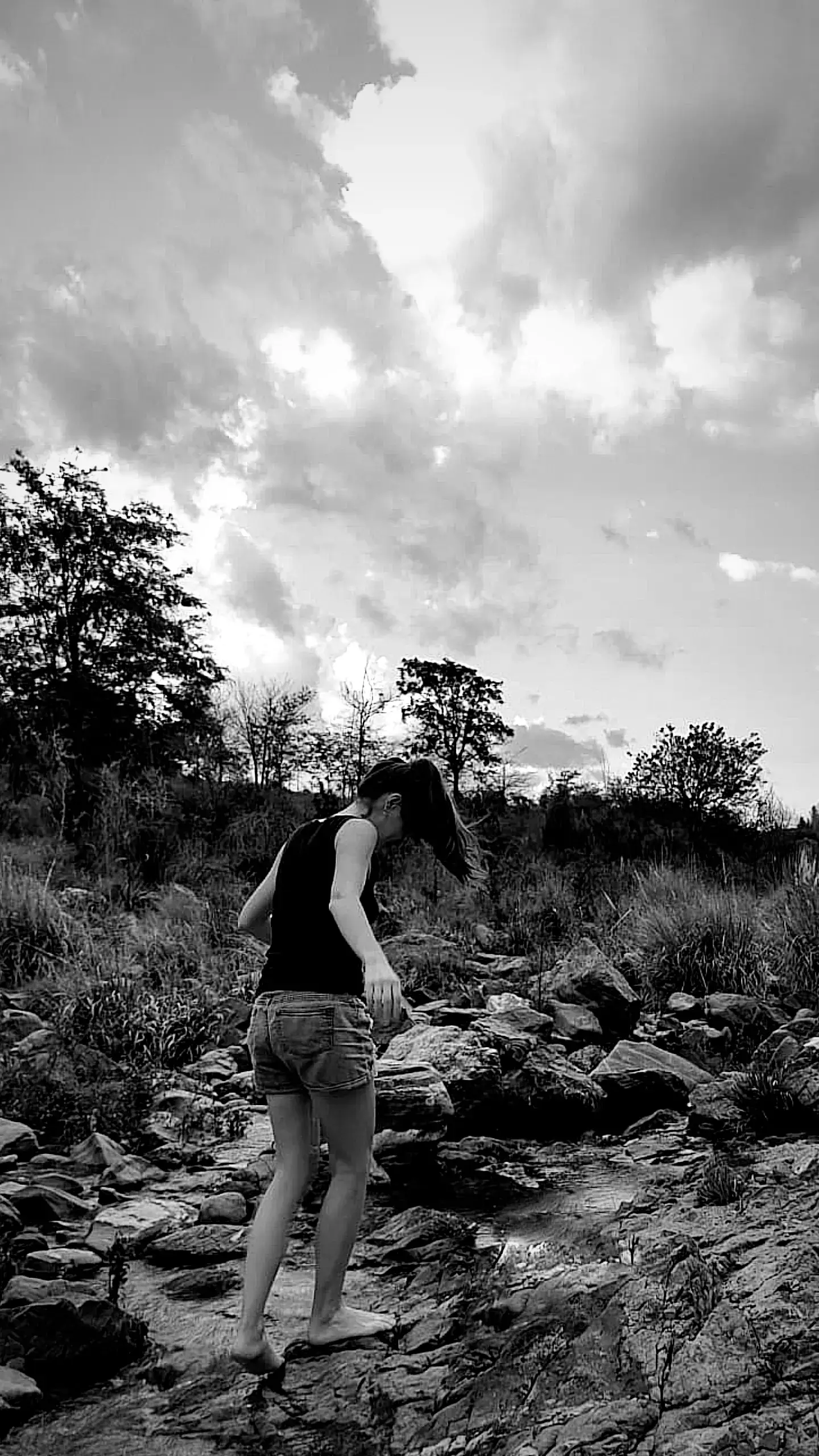 Portada de la nota Sobre mi trabajo