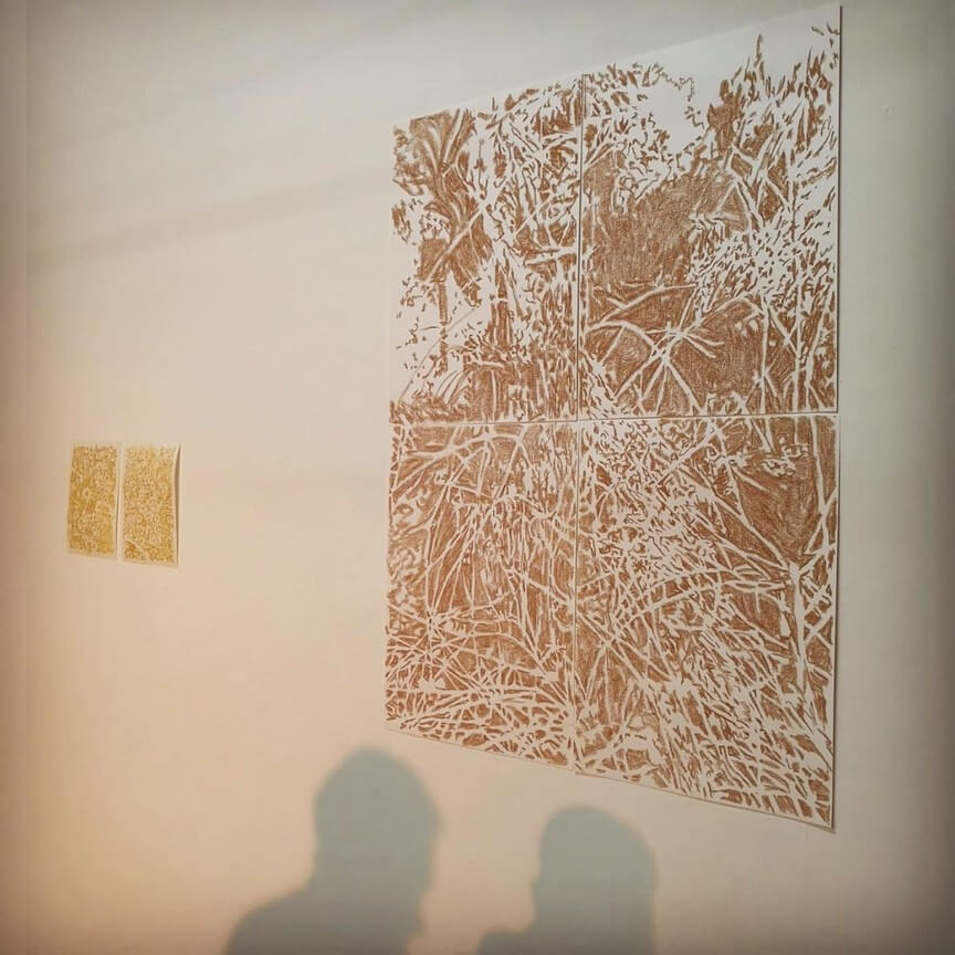 Portada de la obra El aguaribay