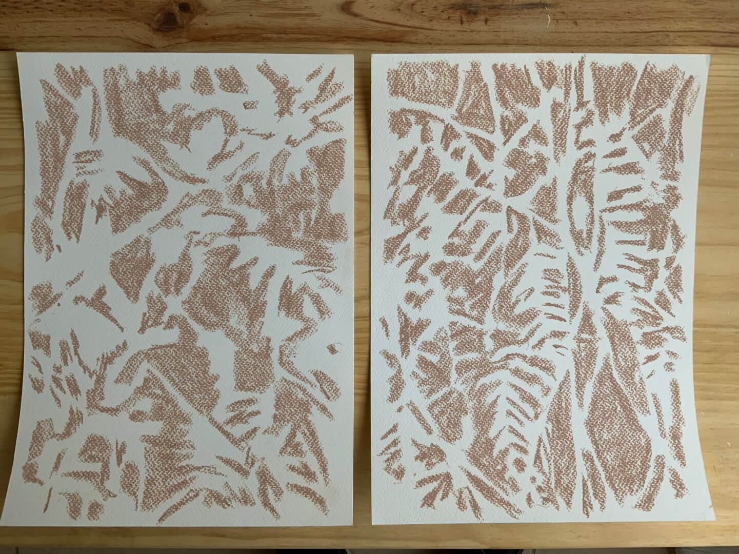 Registro de la obra El aguaribay, vista 2