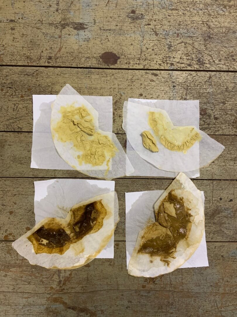 Registro de la obra El aguaribay, vista 3