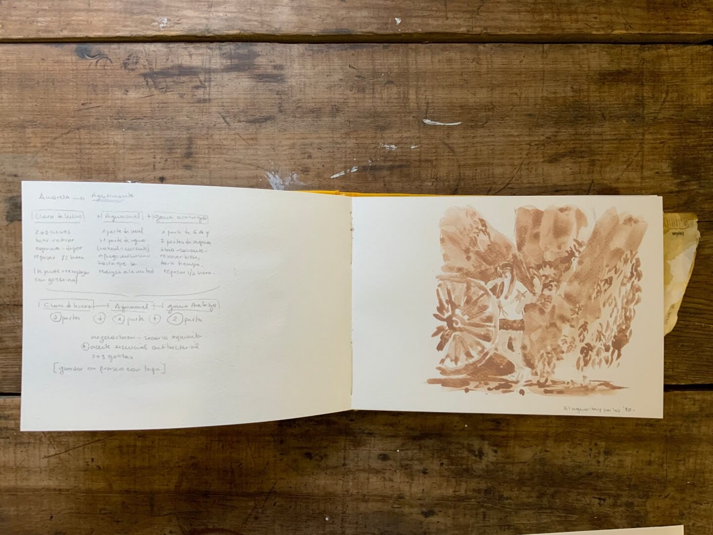 Registro de la obra El aguaribay, vista 4