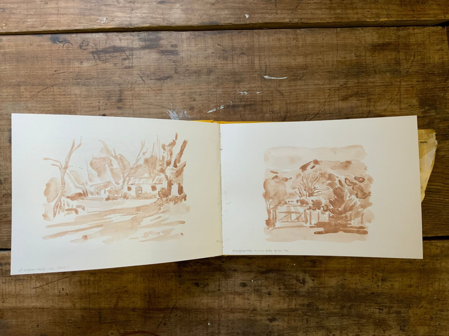 Registro de la obra El aguaribay, vista 5