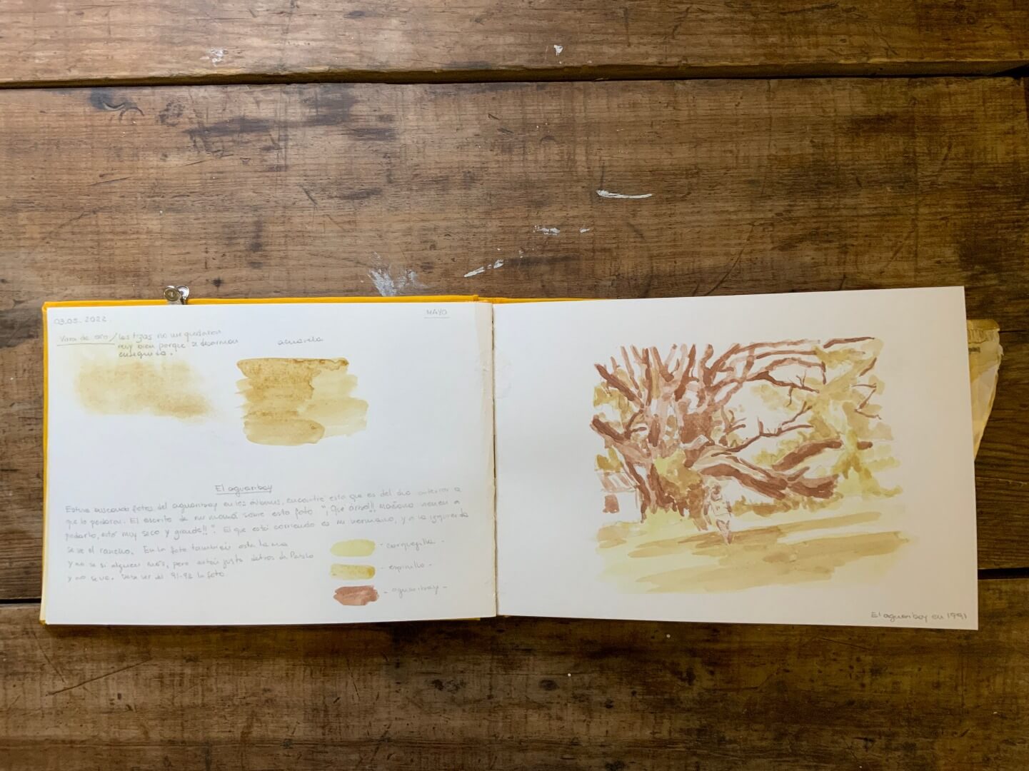 Registro de la obra El aguaribay, vista 6