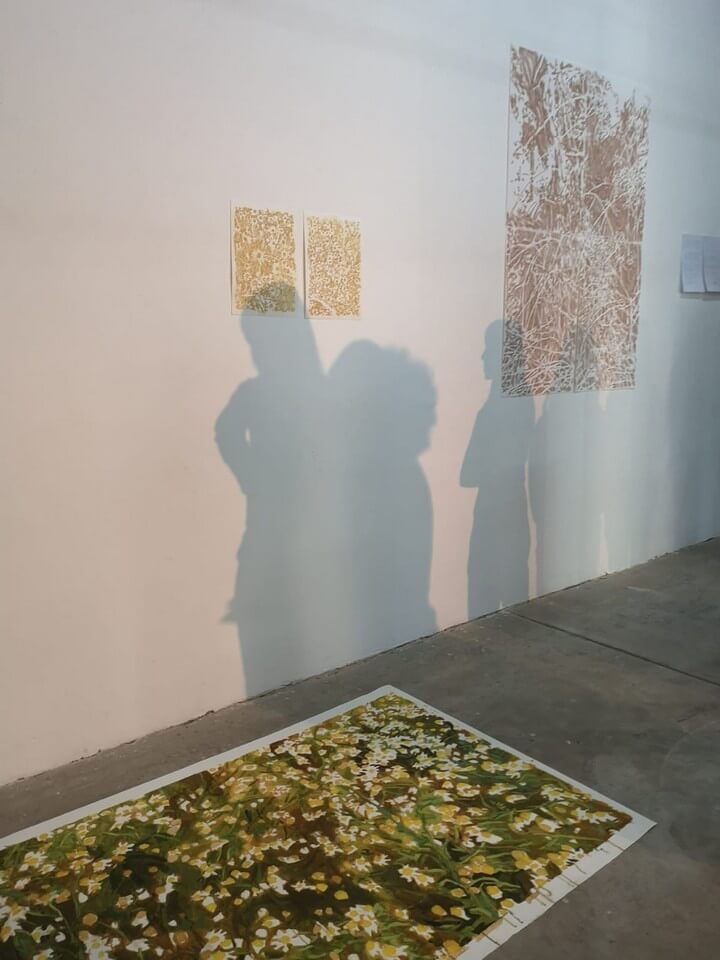 Registro de la obra El aguaribay, vista 8