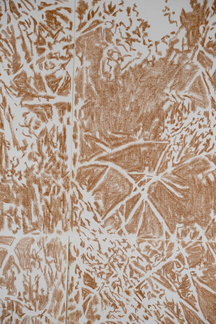 Registro de la obra El aguaribay, vista 9