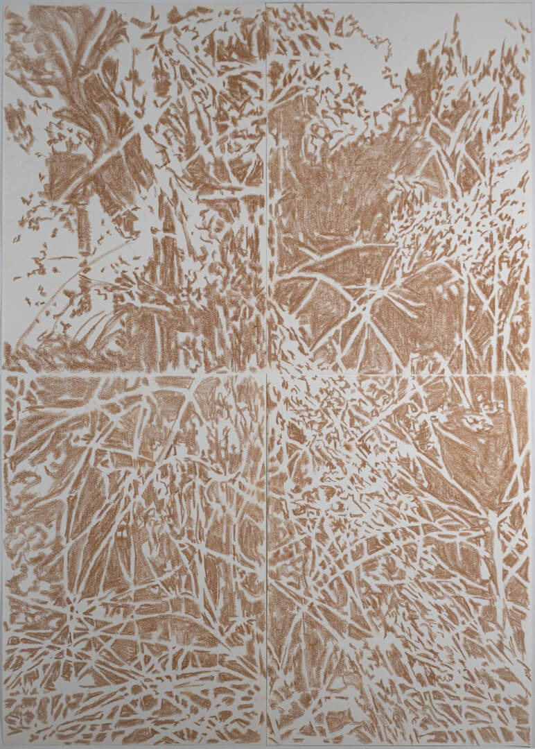 Registro de la obra El aguaribay, vista 10