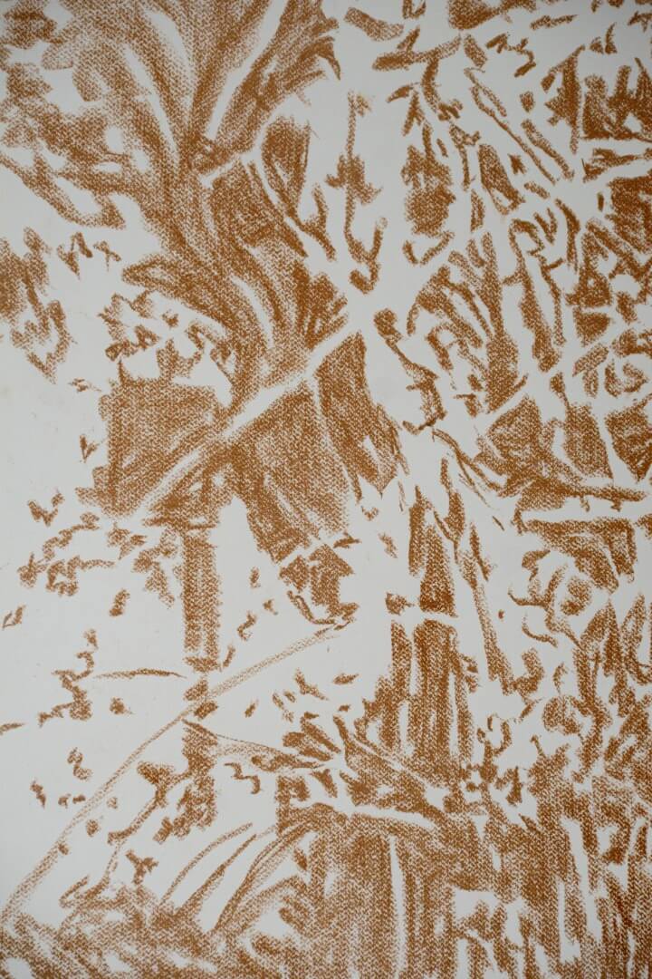 Registro de la obra El aguaribay, vista 11