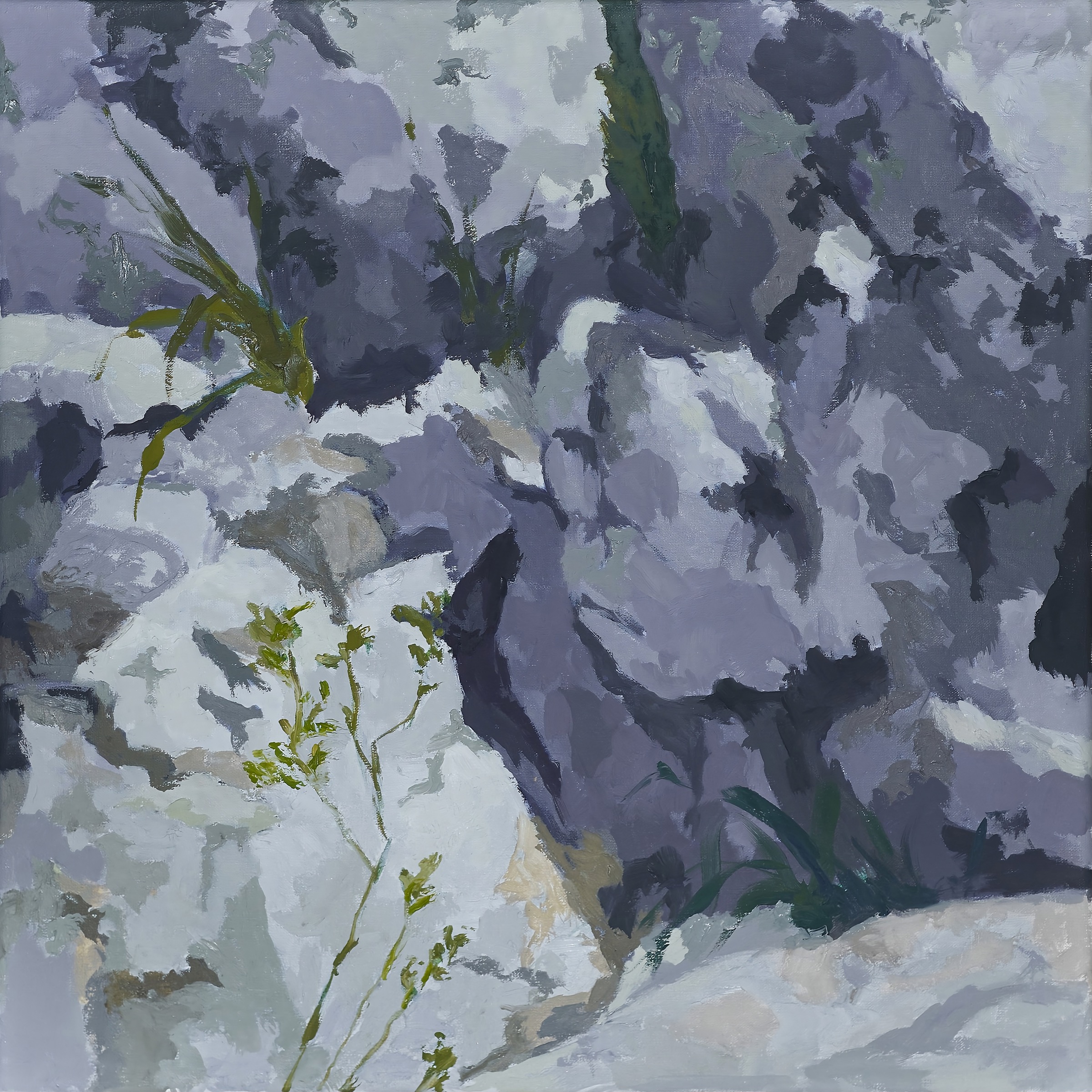 Registro editorial de Cruza, vista 2