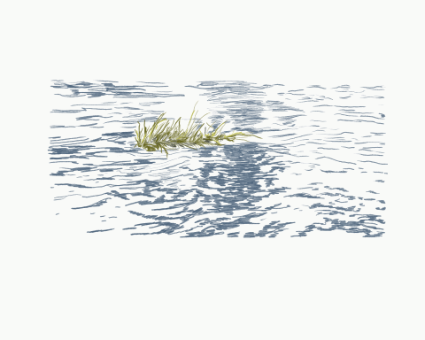 Portada animada del proyecto El tiempo en la orilla