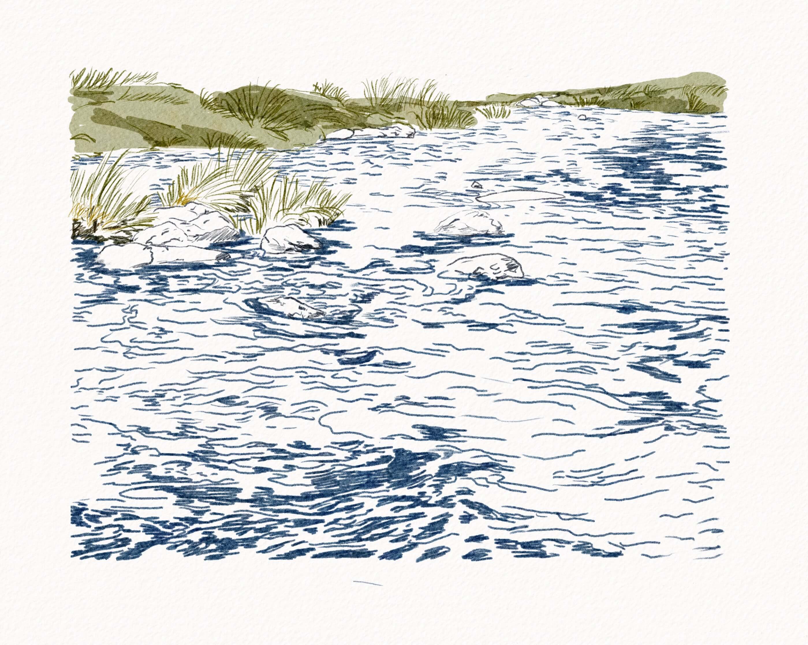 Registro de El tiempo en la orilla, vista 2