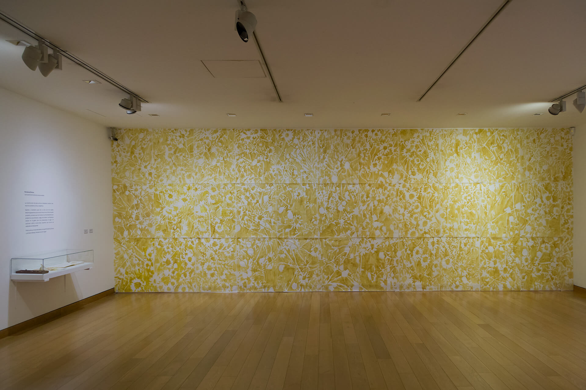 Registro de la instalación Las superficies donde las cosas suceden, vista 3