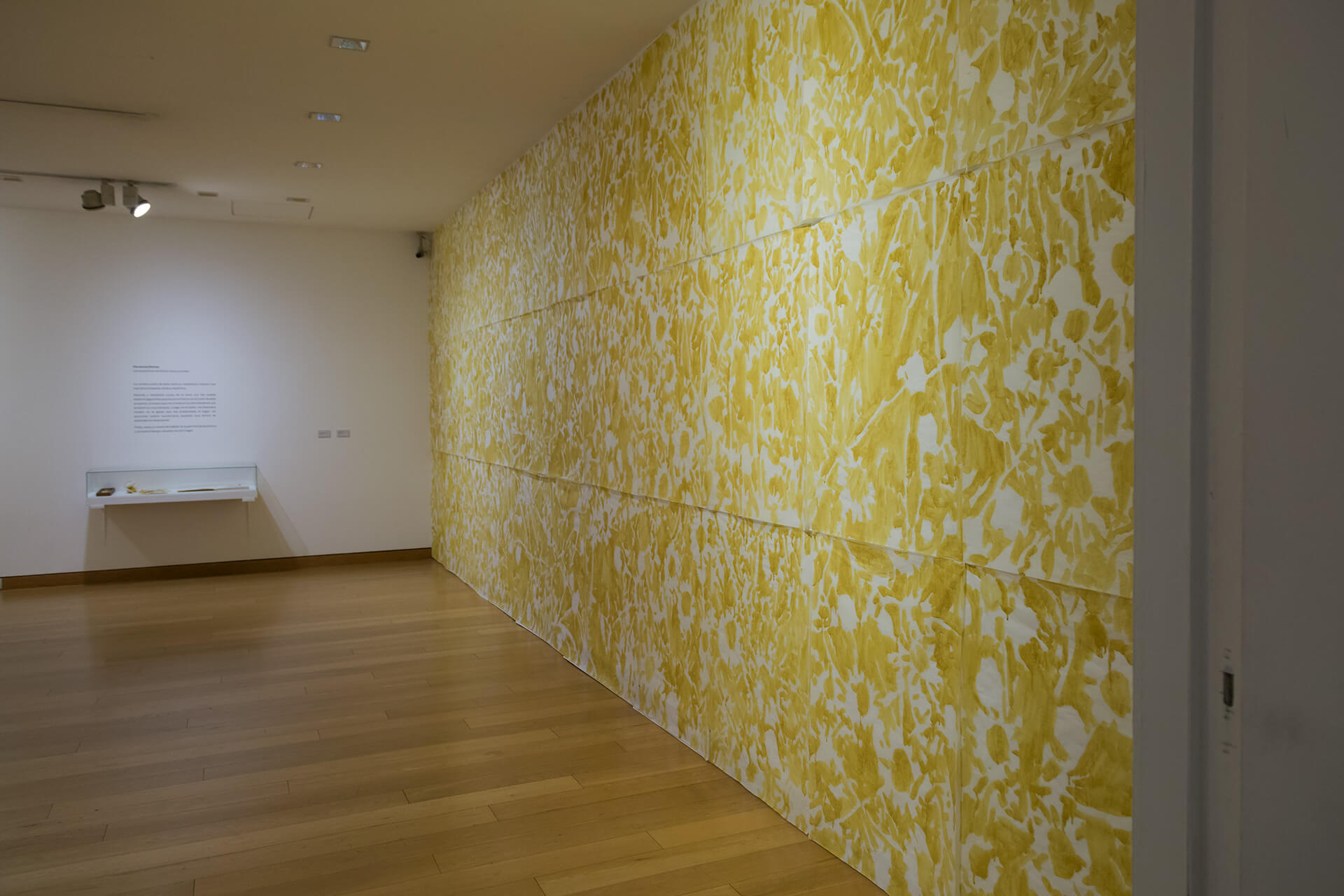 Registro de la instalación Las superficies donde las cosas suceden, vista 4