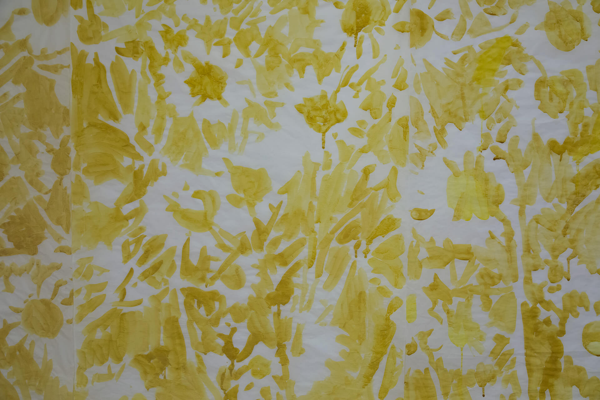 Registro de la instalación Las superficies donde las cosas suceden, vista 5