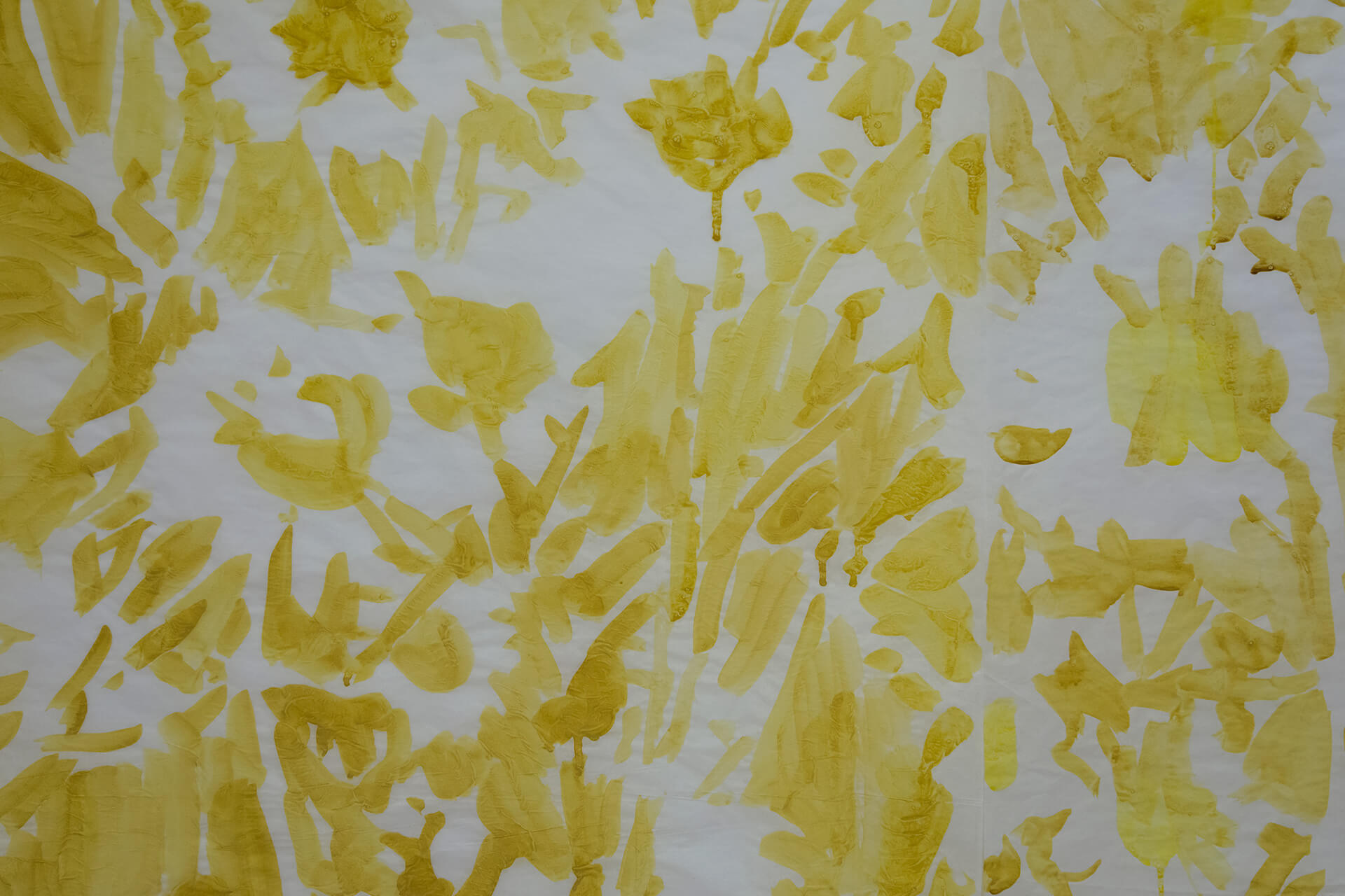 Registro de la instalación Las superficies donde las cosas suceden, vista 6