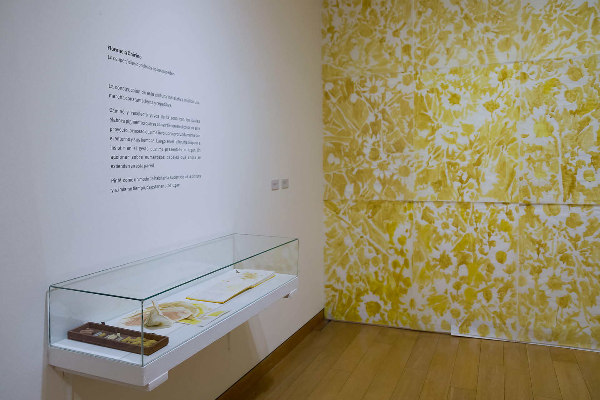 Registro de la instalación Las superficies donde las cosas suceden, vista 7