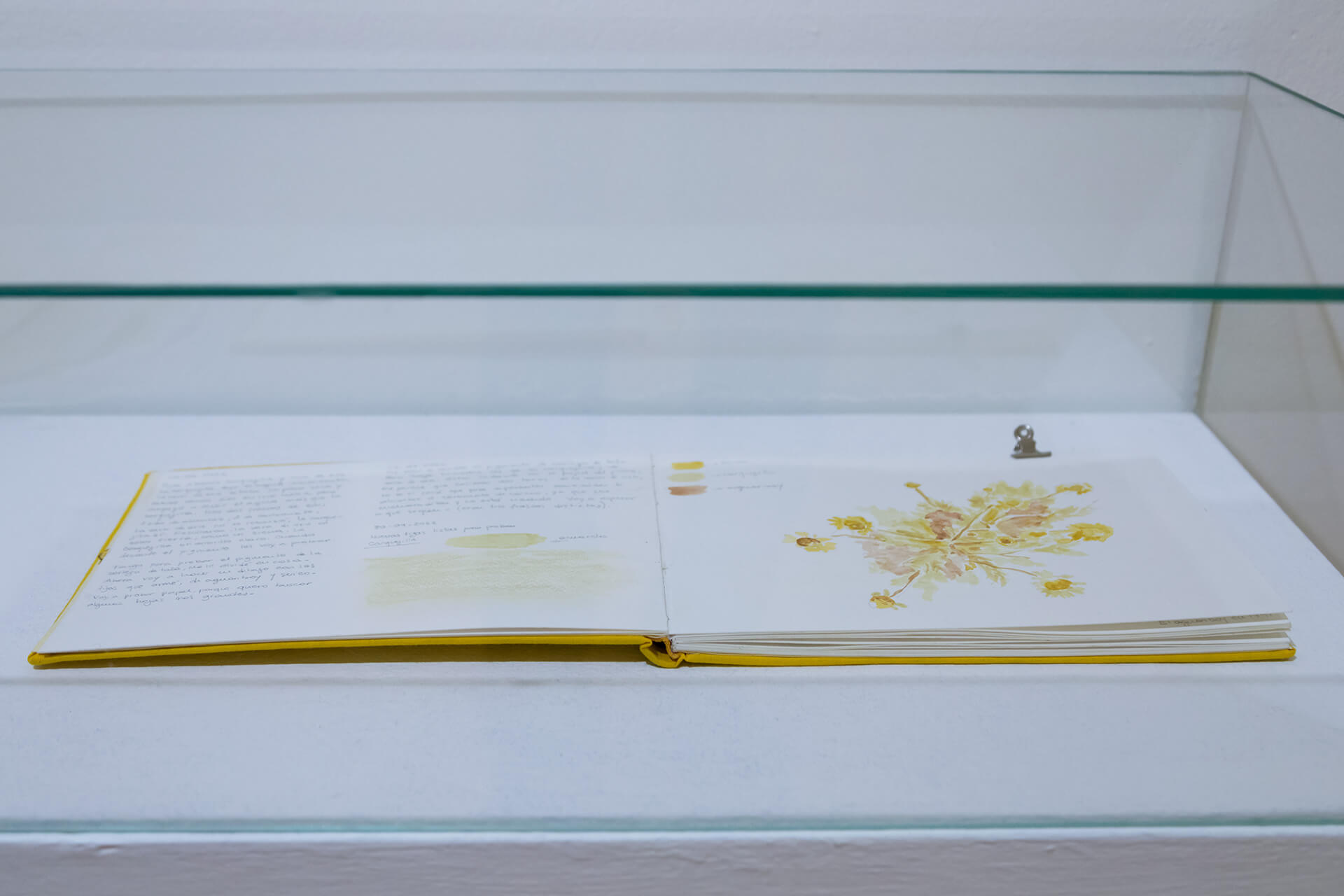 Registro de la instalación Las superficies donde las cosas suceden, vista 11