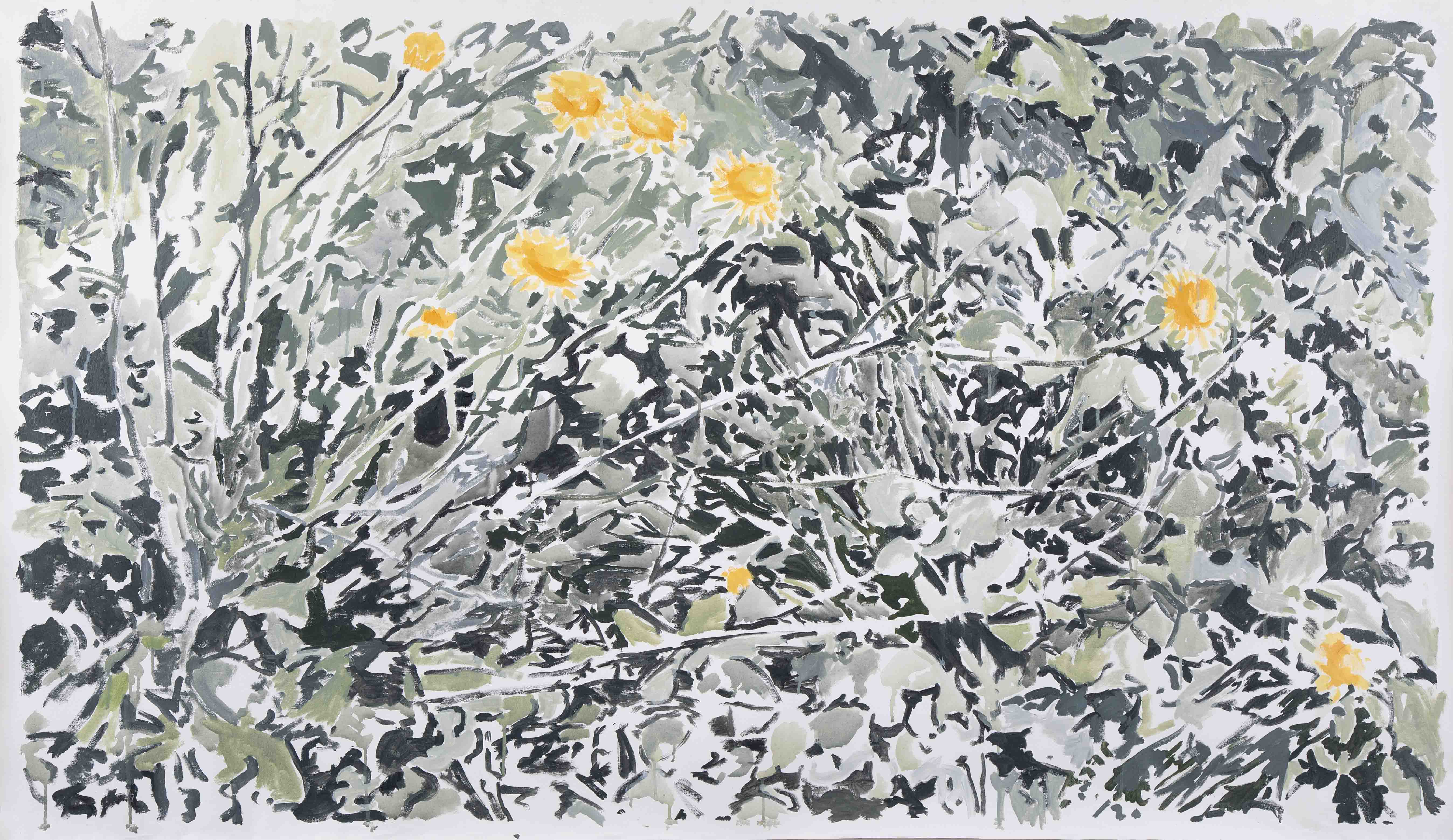 Portada de la serie Pinturas