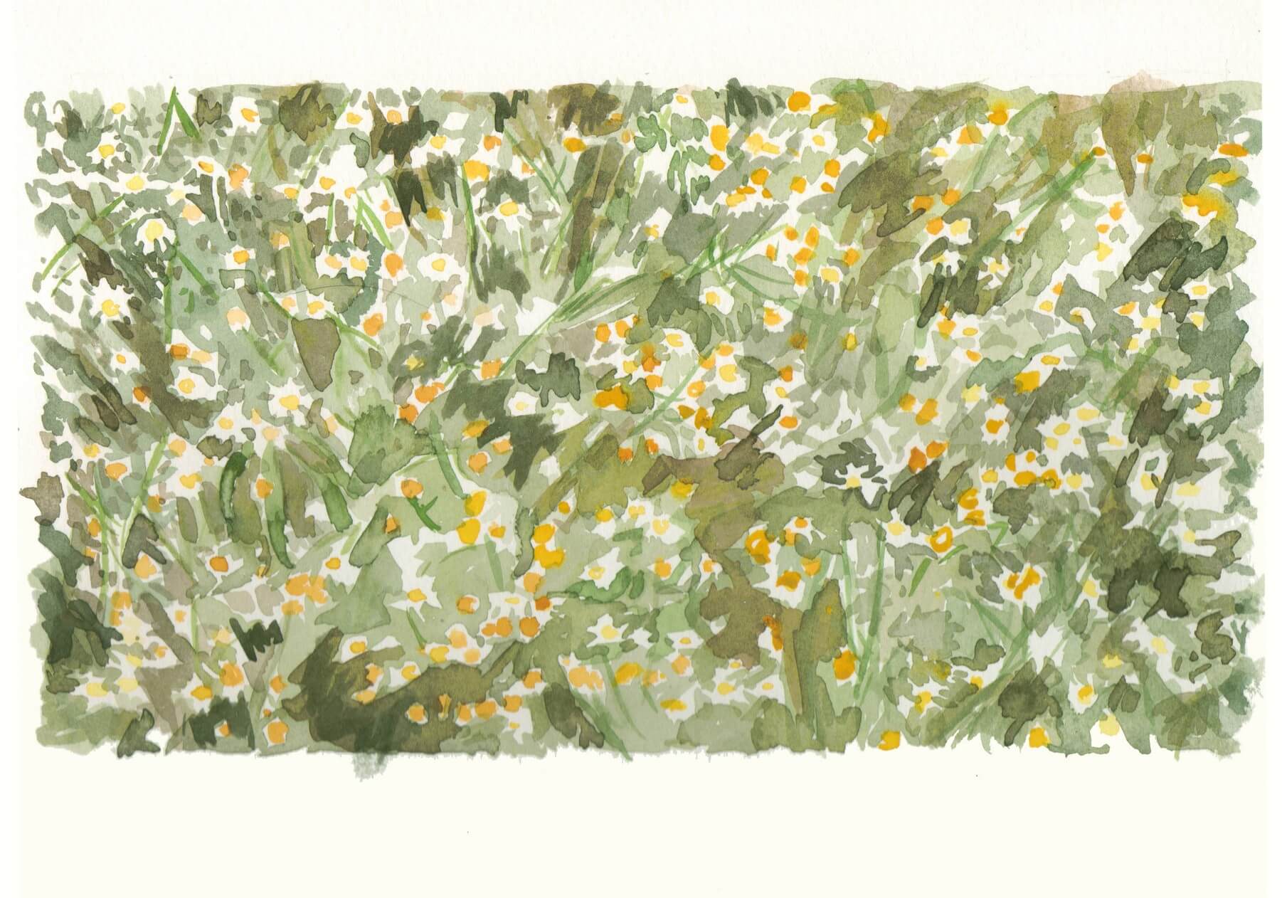 Registro de la serie Pinturas, obra 13