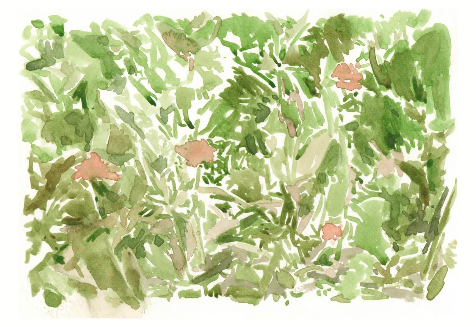 Registro de la serie Pinturas, obra 15