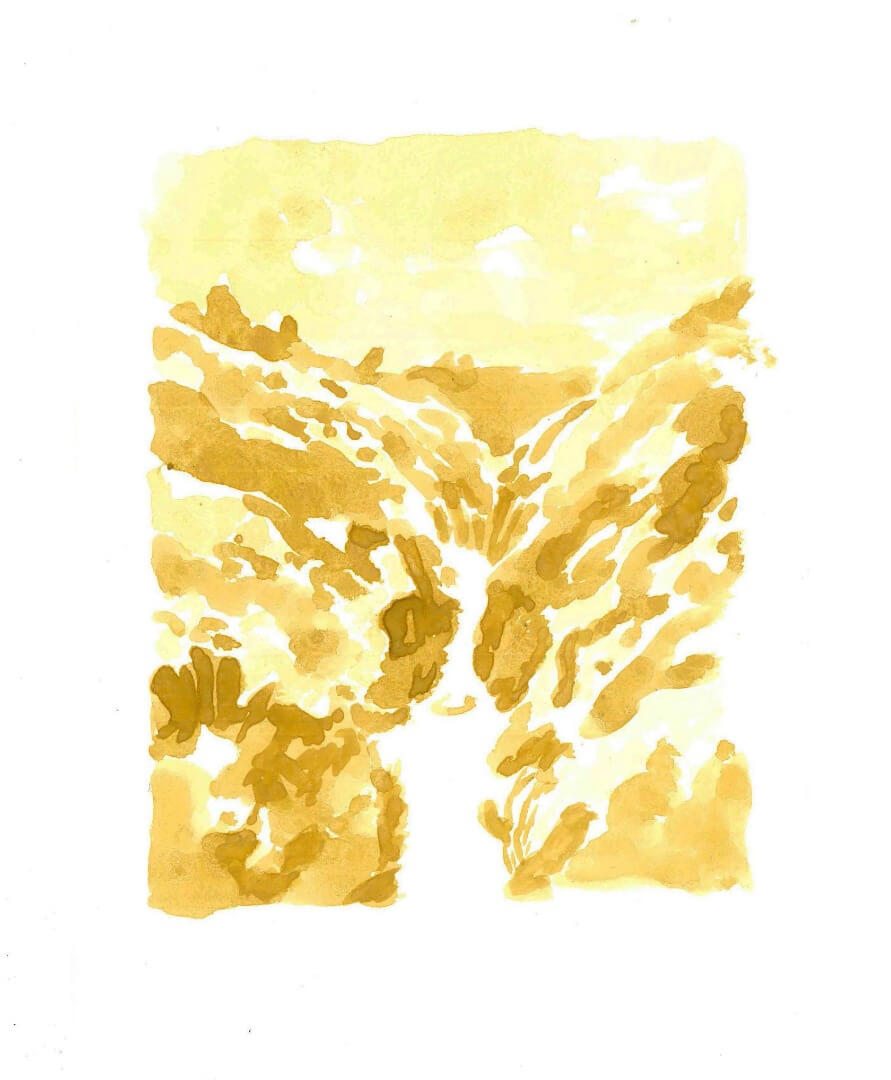 Registro del proyecto Río, puente colgante