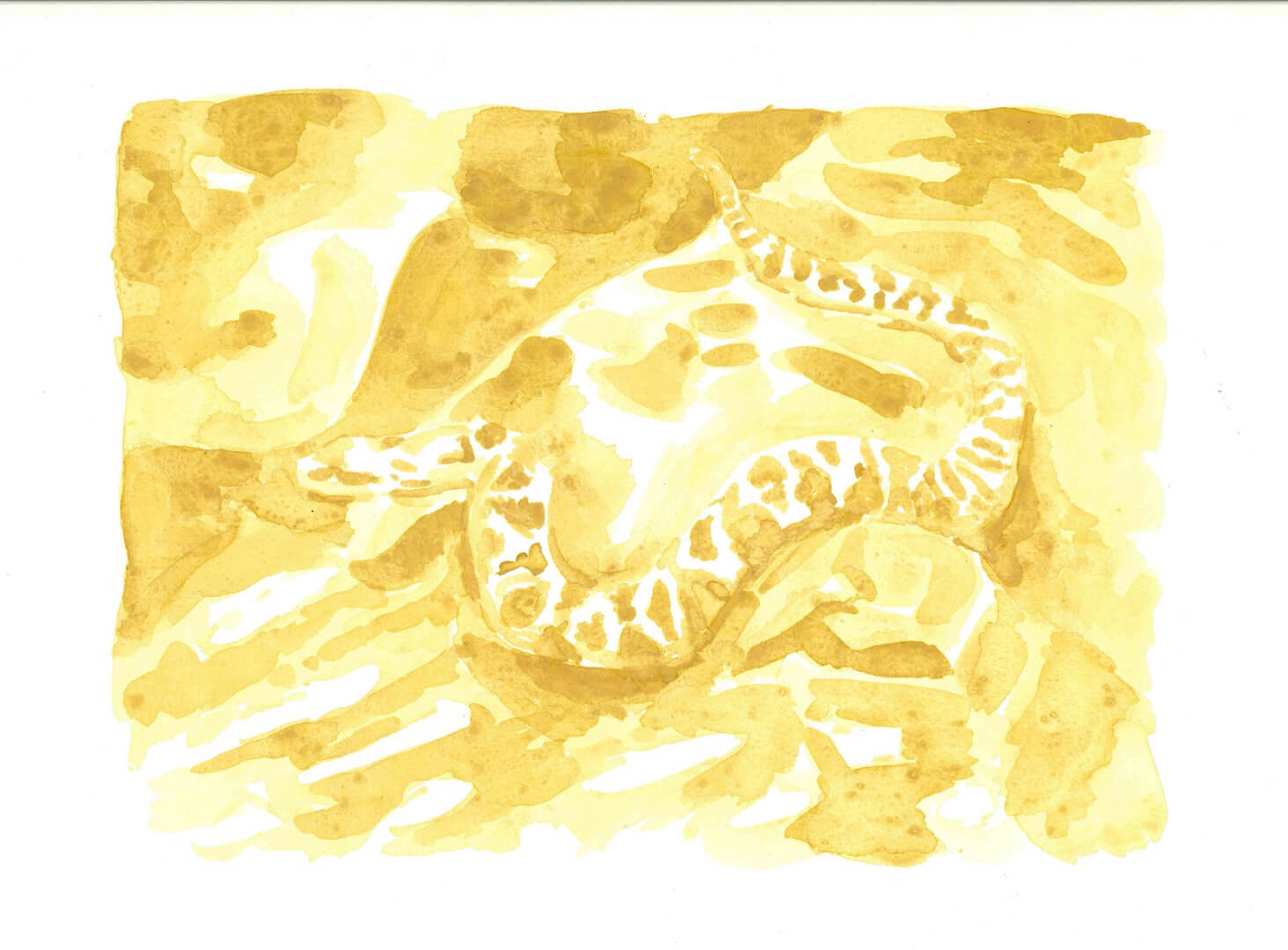 Registro del proyecto Río, serpiente